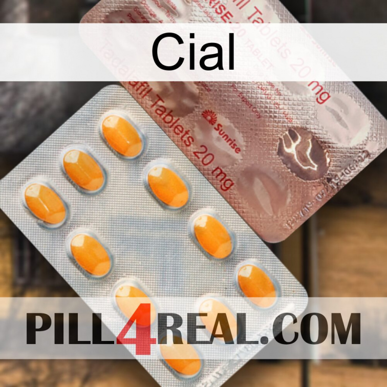 Cial new13
